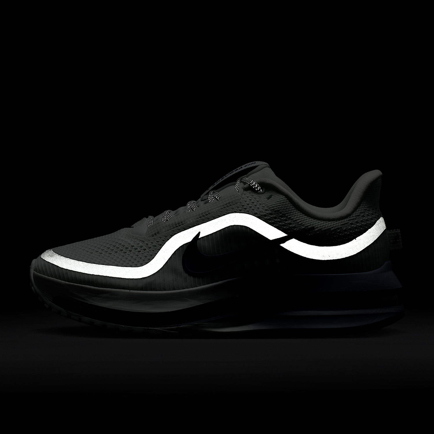 Nike genuine PEGASUS PREMIUM w - Women Shoes Running Nike 评论和价格